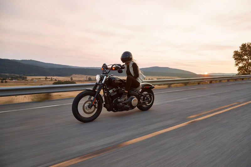 Alpine hearing protection Earplugs earmuffs protect your ear red dot award motor MotoSafe Formula1 MotoGP Traveling Trip Sunset on the road MotoGP Racing Muffy MotoGP Racing Pro MotoSafe Pro MotoSafe Race MotoSafe Tour
